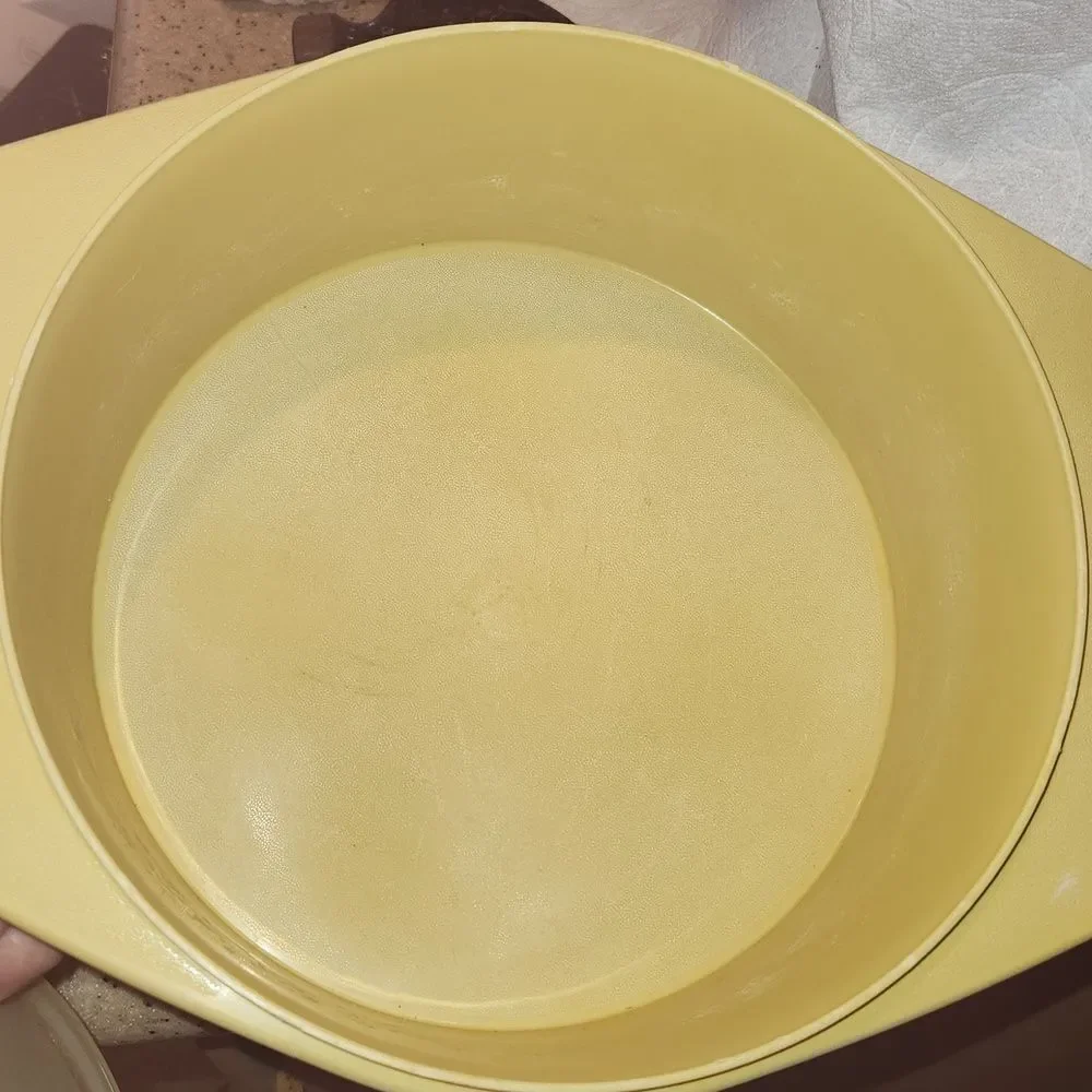 Vintage Tupperware Tortilla Storage  Container